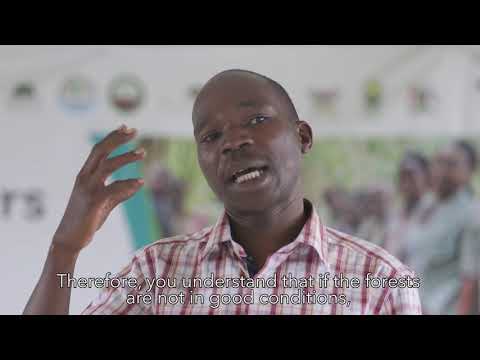 thumbnail of Presentation of Research findings - Itare