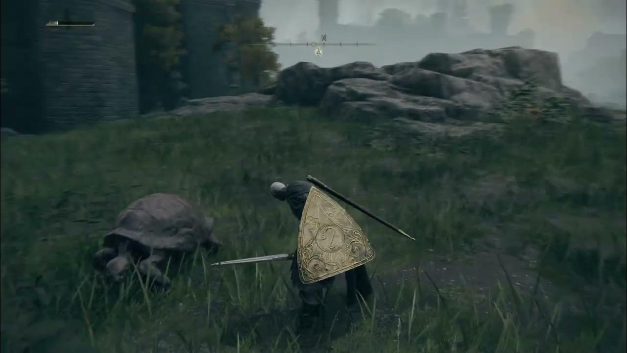 Elden Ring Castle Morne Hunt Giant Tortoise (Turtle) Turtle Neck