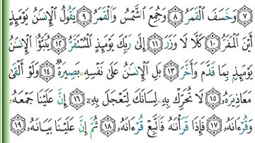 سورة القيامة بصوت القارئ الشيخ أحمد النفيس#viral #videos #viralvideo #quran #قرآن 
