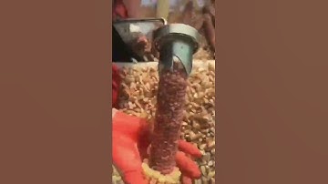 Innovation, Corn Grain Separator Machine #shorts #shortvideo #youtubeshorts #somethinghappened