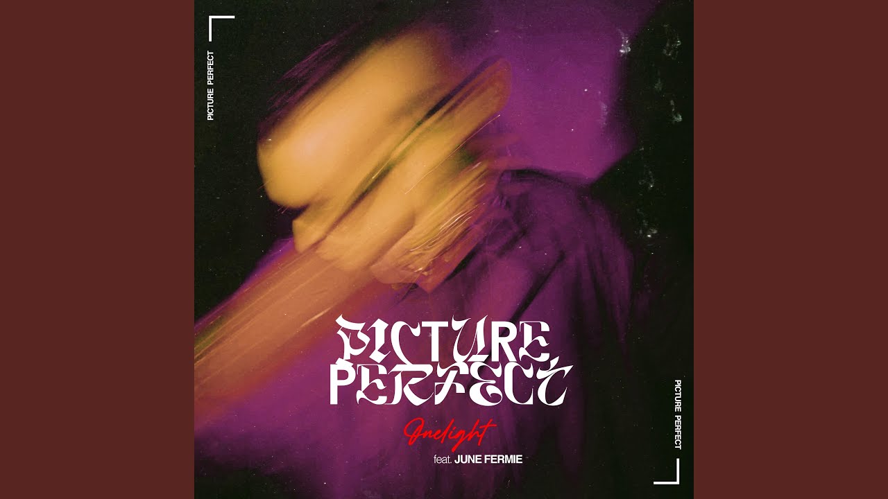 PICTURE PERFECT