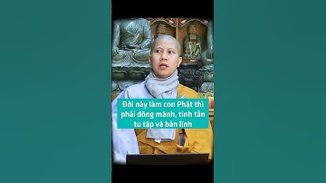 Làm con Phật thì phải dõng mãnh, tinh tấn tu tập và bản lĩnh - SC. Giác Lệ Hiếu | Vườn An Yên