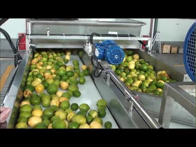 Lemon oil and juice extraction .wmv class=