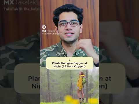 7 Plants that