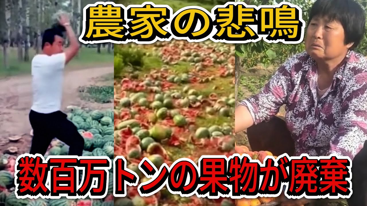 【2025年中国】果物がゴミのように捨てられる…「1000kg積んで売れたのは3kg」農家の絶叫と経済崩壊の現実