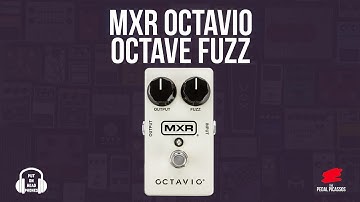 MXR Octavio Octave fuzz #fuzz #octave