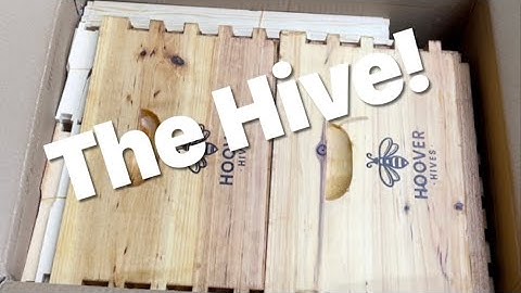 Hoover Hives Langstroth 10 Frame Waxed Dipped Bee Hive box opening and build!