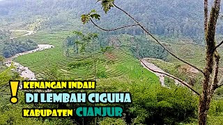 📣 HARMONI GUNUNG DAN SAWAH DI LEMBAH CIANJUR ❗️ Menuntut Ilmu dari Ahlinya