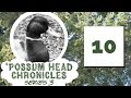 Possum head chronicles series 03 episode 10