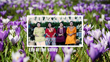LILY OF THE VALLEY || COVERED BY THE SIBLINGS