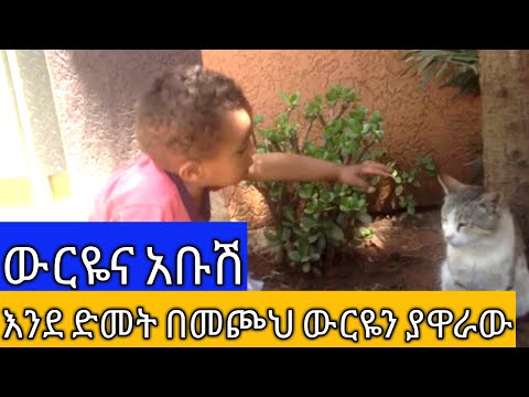 ቪዲዮ: ቦሆ ቺክን እንዴት ማስጌጥ እንደሚቻል (ከስዕሎች ጋር)