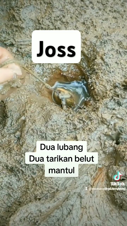 Masya allah #beluthunter #fishingequipment #shorts