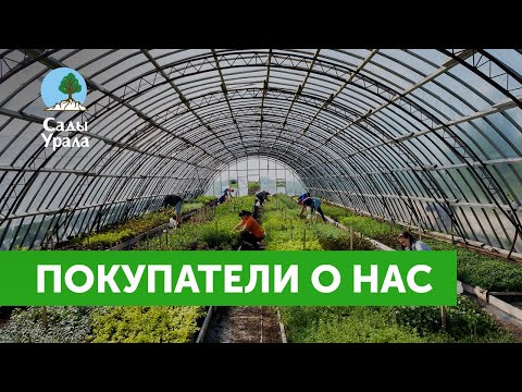 Сады Урала Интернет Магазин Каталог