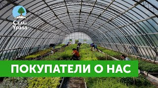 Отзывы заказчиков о питомнике Сады Урала. Самовывоз Осень 2021