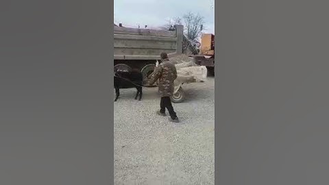Теперь, я видел все