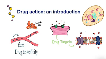 Basis of drug action: an introduction ( what is a drug and how it works)