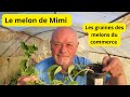 Les melons de mimi    graines  d un melon commercial  et dedicace  a andre  de bordeaux