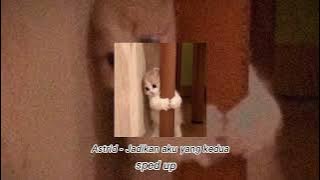 Astrid - Jadikan aku yang kedua sped up TikTok Song