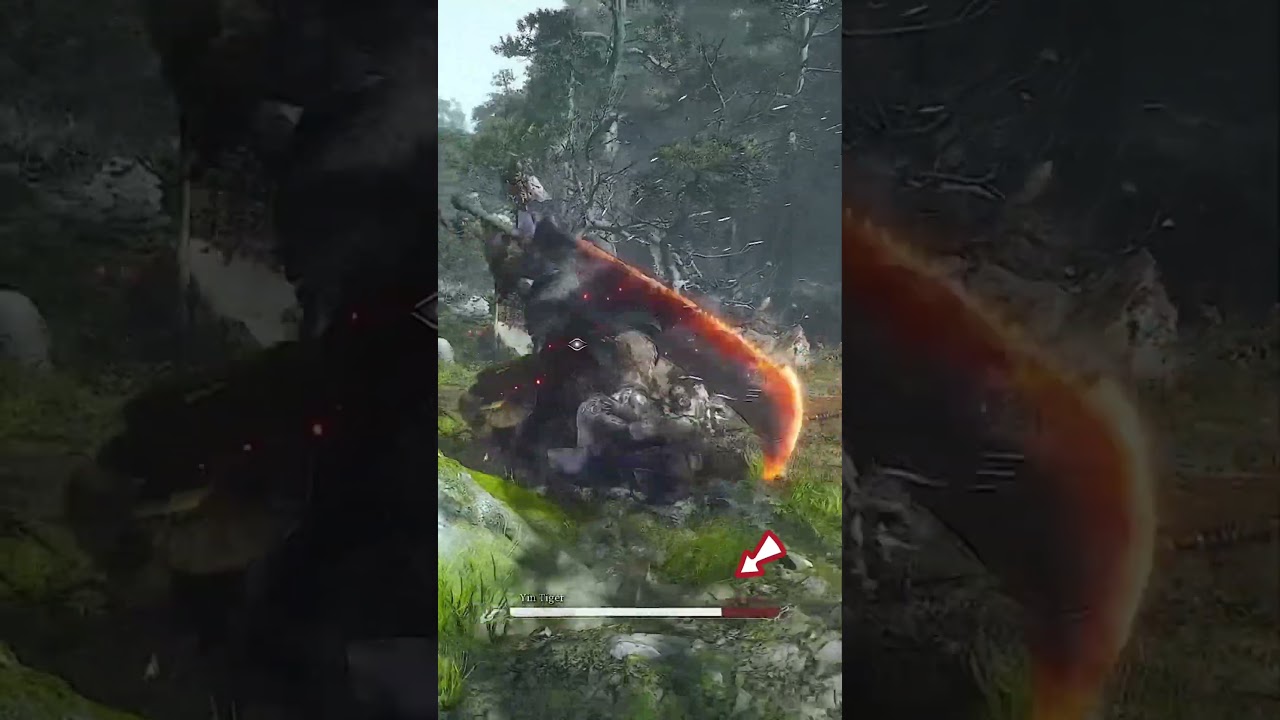 preview_player