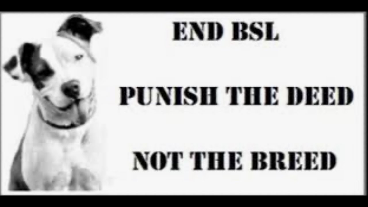 End bsl