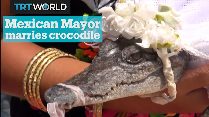 Mayor of Mexican town marries crocodile - DayDayNews