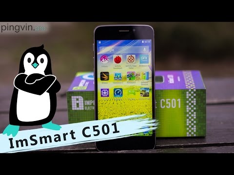 ImSmart C501 – огляд мудрофона з українським корінням