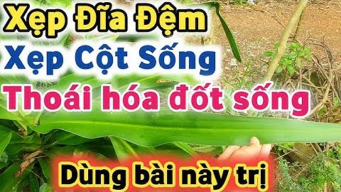 Bài thuốc trị Xẹp Đốt Sống, Xẹp Đĩa Đệm, Thoái hóa đốt sống, Đau Nhức Xương Khớp | Bảy Channel