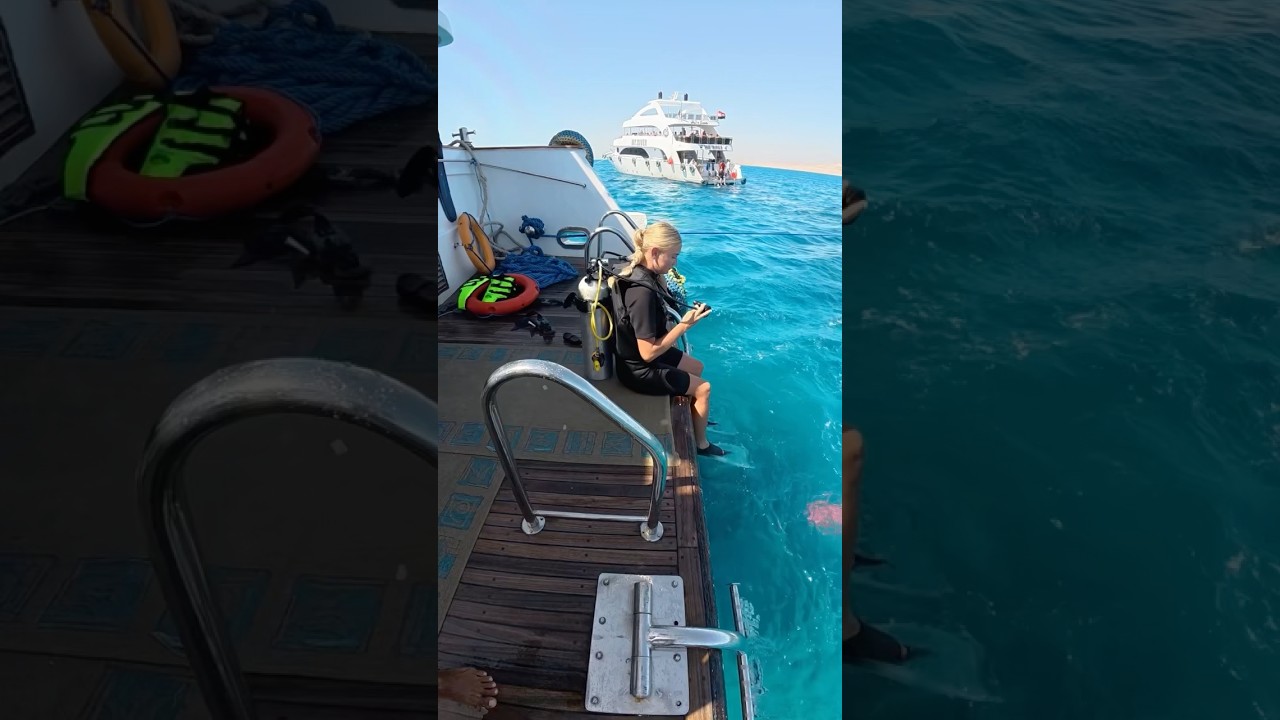 diving day vlog 🧜🏼‍♀️🫧 