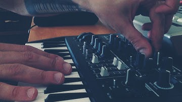 The UGLY Sound Experiments with Arturia Microbrute & Korg Microsampler