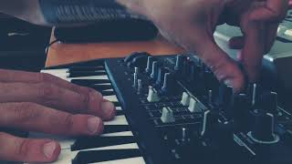 The UGLY Sound Experiments with Arturia Microbrute & Korg Microsampler
