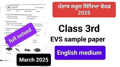 3rd class EVS sample paper, English medium, Fully solved