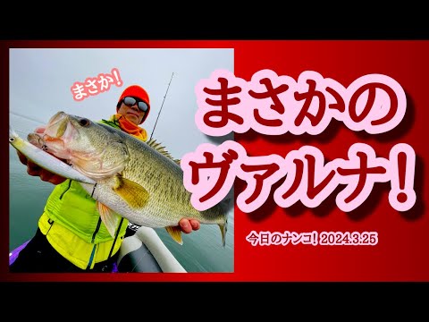 【今日のナンコ！2024.3.25】まさかのヴァルナ【琵琶湖バス釣り】