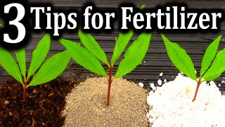 The BEST Fertilizer for Different Gardening Situations | How I Fertilize All of My Plants