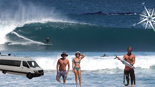 EPIC AUSTRALIAN SURFING ROAD TRIP | PERFECT WAVES, VAN LIFE, FISH, WHALES + MORE