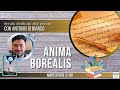 Anima Borealis - Poesia con Antonio Di Bianco