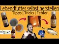 ARTEMIA EIER: Lebendfutter selbst herstellen / Tricks / Tipps / Fehler /TAX