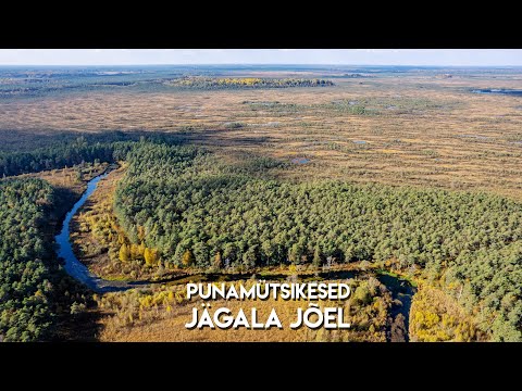 Video: Kakšna Barva šminke Naredi Zobe Bolj Bele: Pravila Za Izbiro Odtenkov, Ki Skrivajo Rumenost