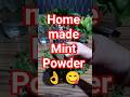 Homemade Mint Powder 🌿 | Fresh &amp; Flavorful Seasoning 😍 #ytshorts #mintpowder #seasoning #homemade