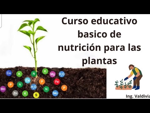 Curso: Nutrición Vegetal - Aprende a alimentar a tus plantas 🌱👨‍🌾
