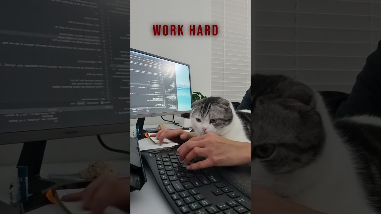 Yes!! You work hard to feed me!! YES 