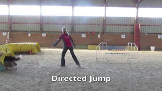 Bliss   Foundation Jumping Skills   March 2012