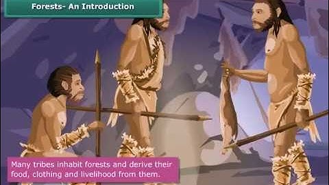 Class _ 7 _ Science _ Forest Our Lifeline