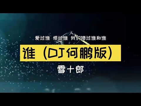 谁 (DJ何鹏版) - 雪十郎，SQ无损音质「爱过谁 恨过谁 我们错过谁和谁」【動態歌詞/Lyrics Video】2021 TikTok ，#谁 (DJ何鹏版) #雪十郎#DJ
