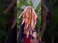 Her Locs Look Interesting Londontayy Hairreactions Shorts Her Locs Look Interesting Londontayy Hairreactions Shorts
