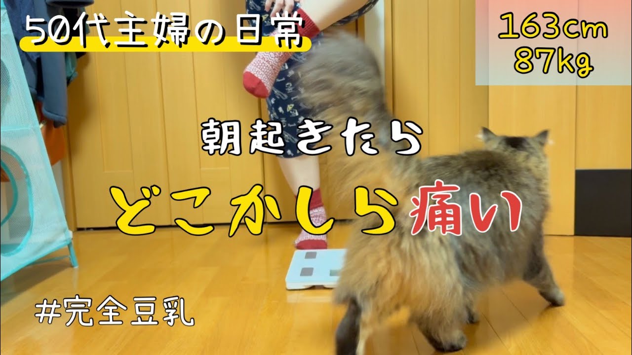 【50代の暮らし】朝目が覚めると、どこかしら痛くて辛い/豆乳メーカーを買いました/食事記録/健康/高血圧/脳梗塞/モーニングルーティン