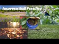 5 Ways to Increase Soil Fertility + A Bonus