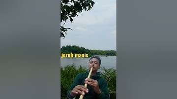 jeruk manis