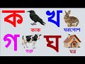 বাংলা ব্যঞ্জনবর্ণ ক খ গ ঘ | Bangla Banjonborno | ছবি দেখে ব্যঞ্জনবর্ণ শিখি ও বাক্যগঠন করি