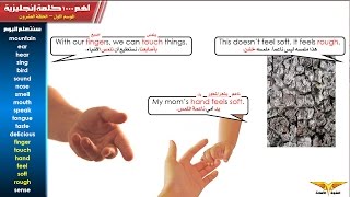 أهم 1000 كلمة إنجليزية حلقة 20 نسمع ونبصر