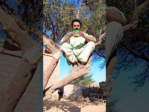 Bhaiya Mujhe Chips Dedo 😆 Episode 3 #shorts #funnyshorts #comedyshorts